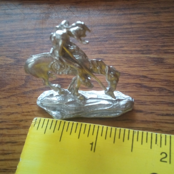 Indian Rider - Picture 4 of 4